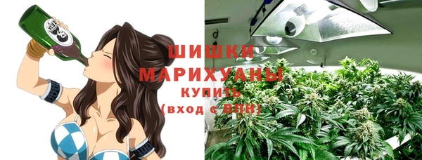 ПСИЛОЦИБИНОВЫЕ ГРИБЫ Алзамай