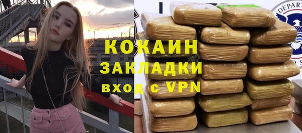 соль ск Алексин